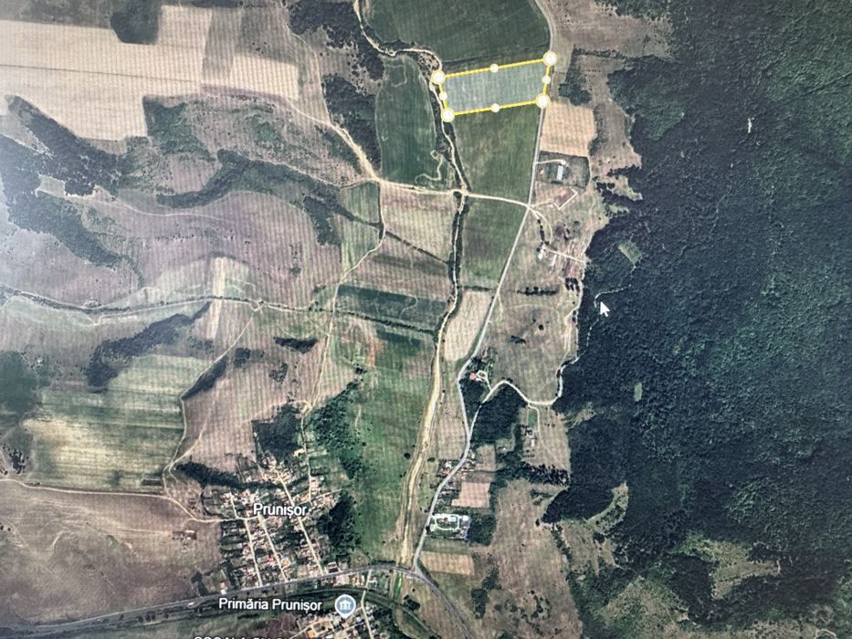 48 Hectare Prunisor Mehedintii