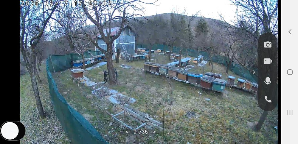 Vand familii de stupi cu lada sau fara