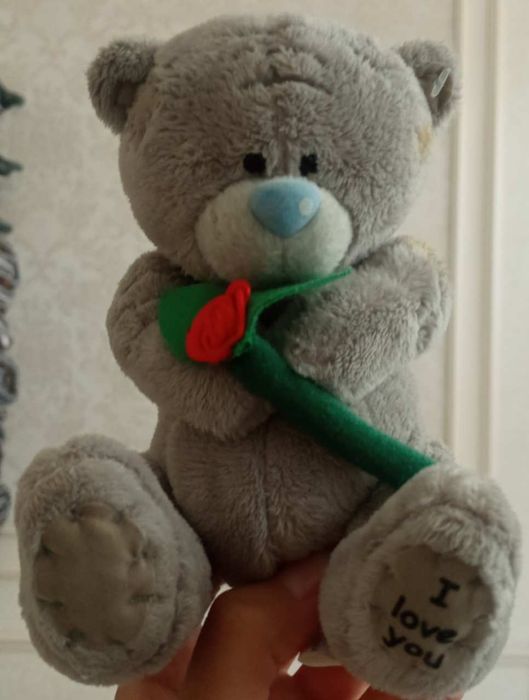 Teddy bear momiq ayiqcha