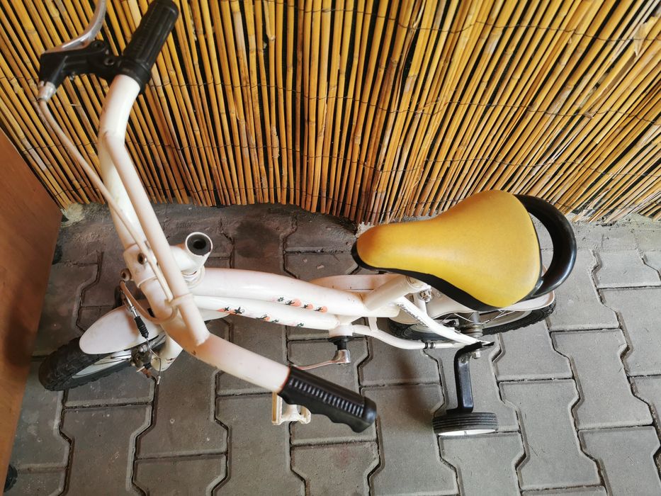 Bicicleta pentru copii