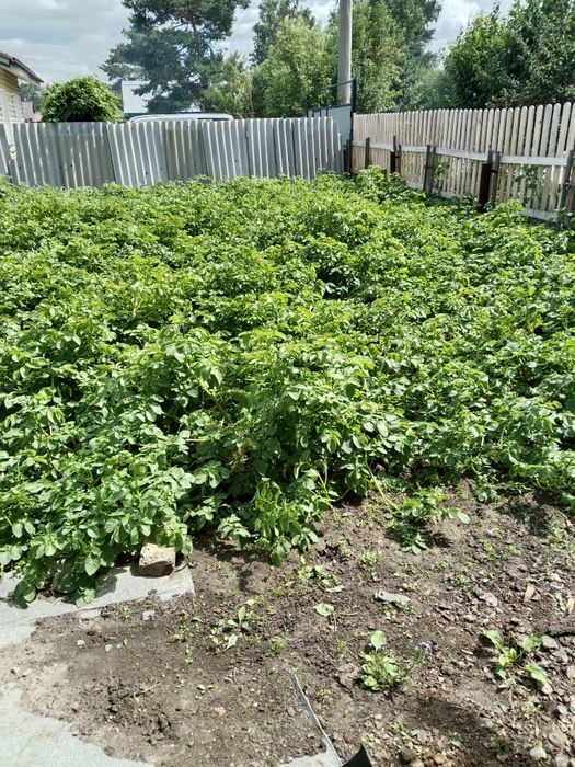 Продам дачу, с/о Эврика