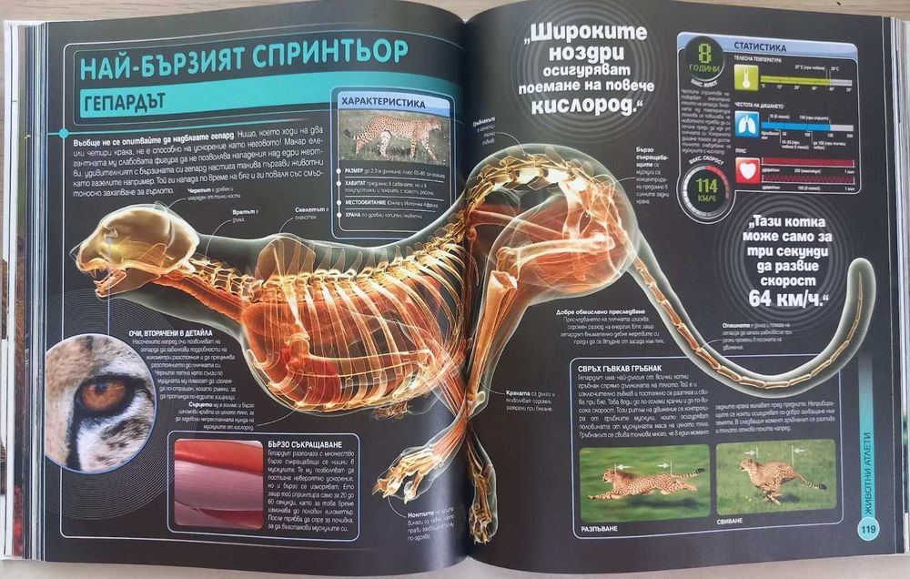 Енциклопедия "Суперприрода", Книгомания
