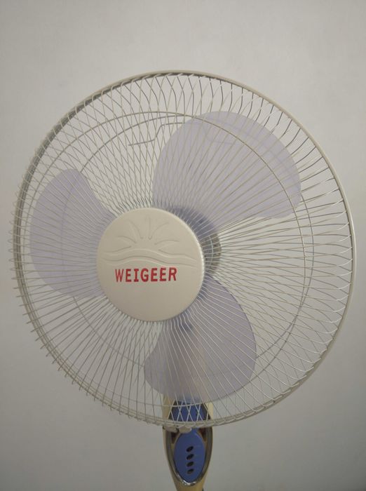 Вентилятор с пультом.