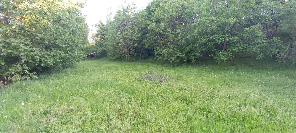 Böstonliq Sijjakda Hovli uy sotiladi