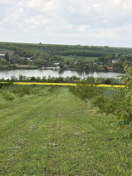 Vand casa la balta si 5000 metri patrati cu livada de 110 nuci