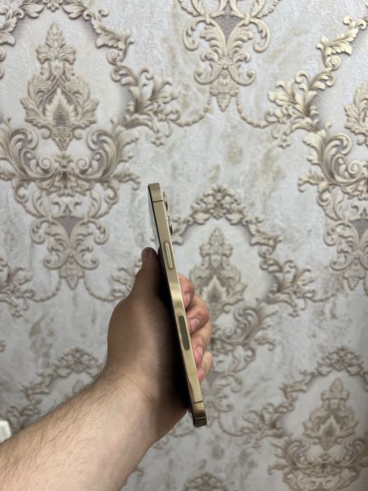 Iphone 12 pro max gold