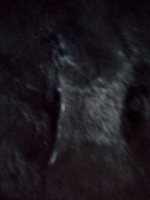 Продам  шуба (кролик)