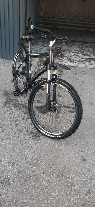 Trinx M1000 Elite
