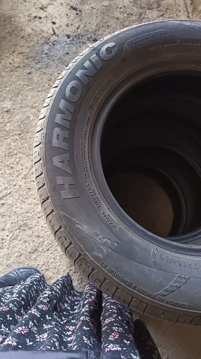 Harmonica Шина ...