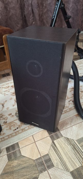 Boxe sharp doua 100W