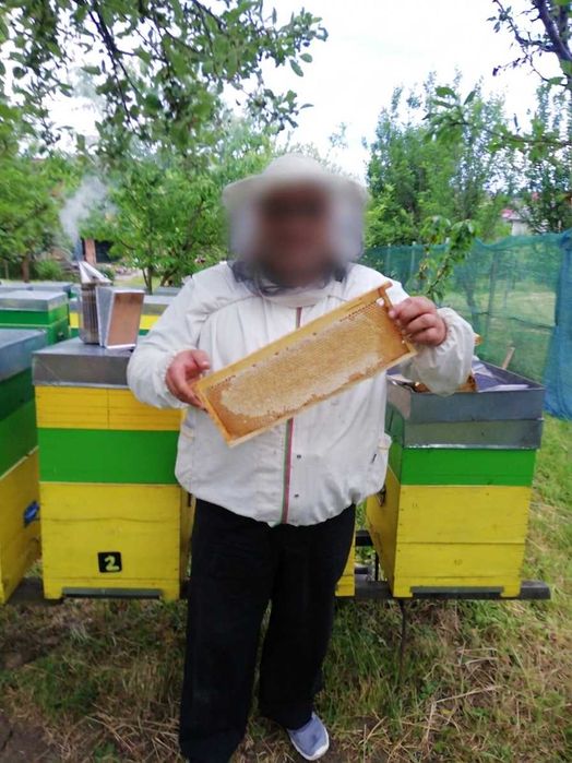 Miere Naturală Din Stupina Proprie - Diverse Sortimente - loc. Baia Mare