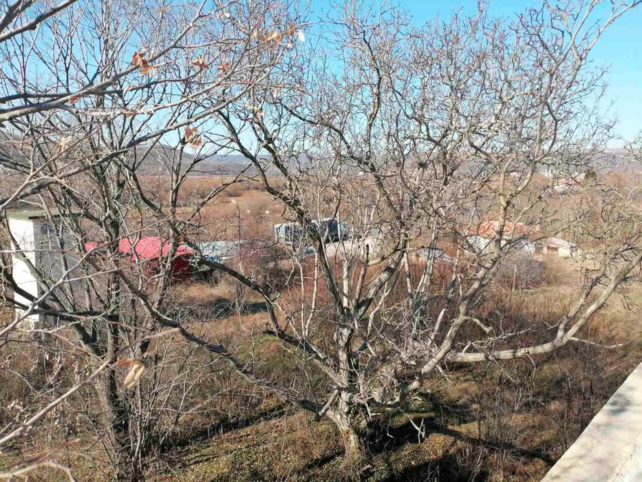 Продава се Парцел в с. Оброчище, Област Добрич - 2405 кв.м за 16 €/кв.м - Снимка #6