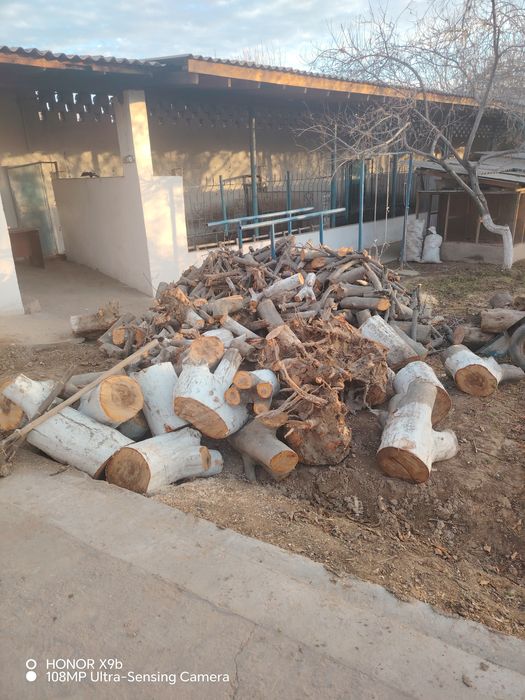 Utin bor 1 zil chiqadi