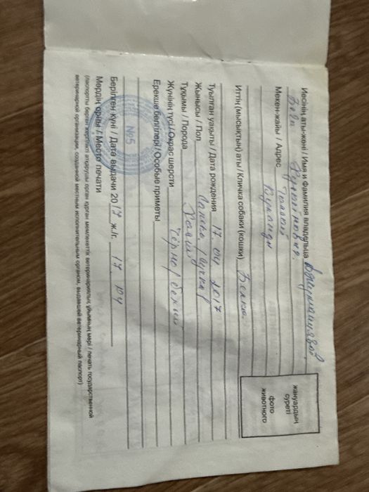 Продам хаски ДЕВОЧКА!