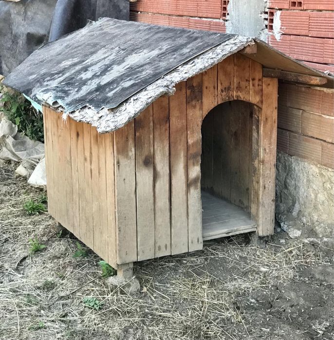 Масивна, голяма кучешка колиба