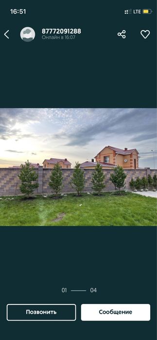 Газон посевной