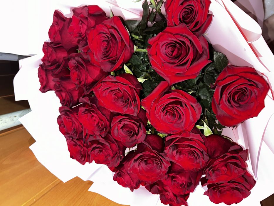 25 Роза свежый галанский роза