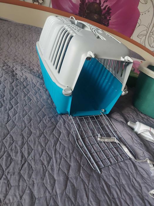 Домашни любимци котки