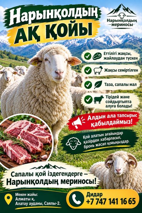 Қой сатылады меранос