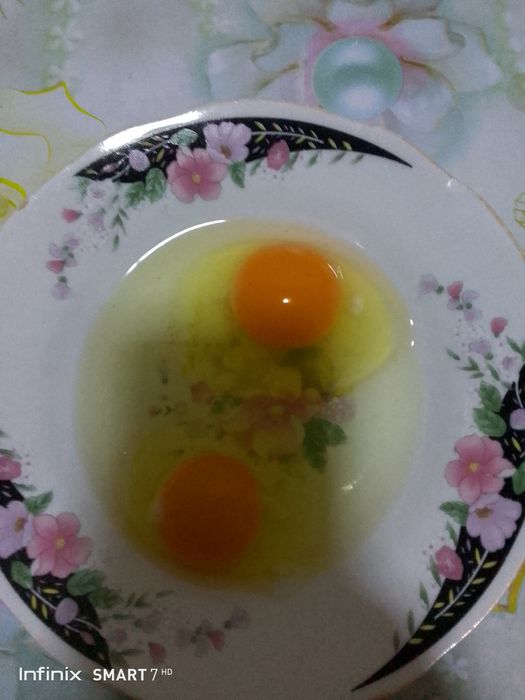 Uy sharoitida boqilga tovuq tuxumi bor