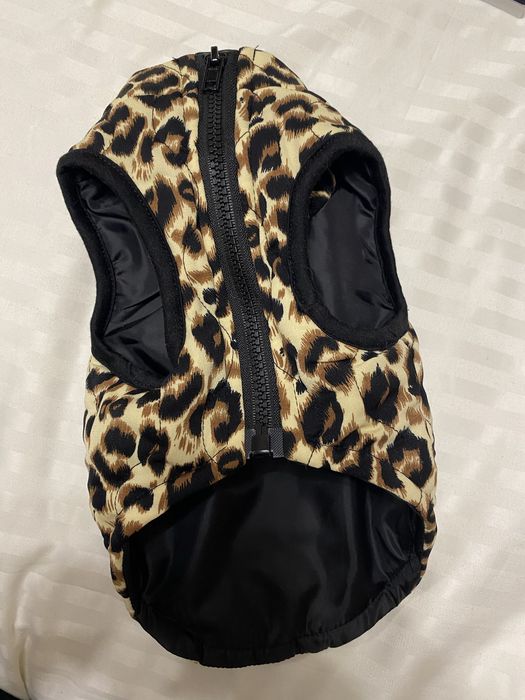 Яке за куче размер ХС