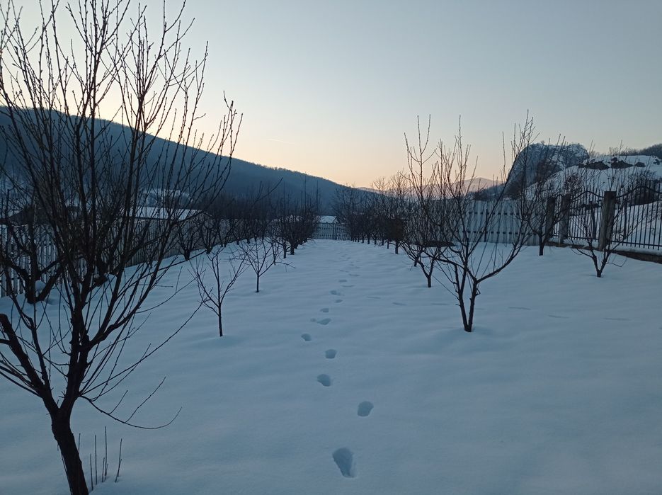 Teren in com Metes sat Ampoita