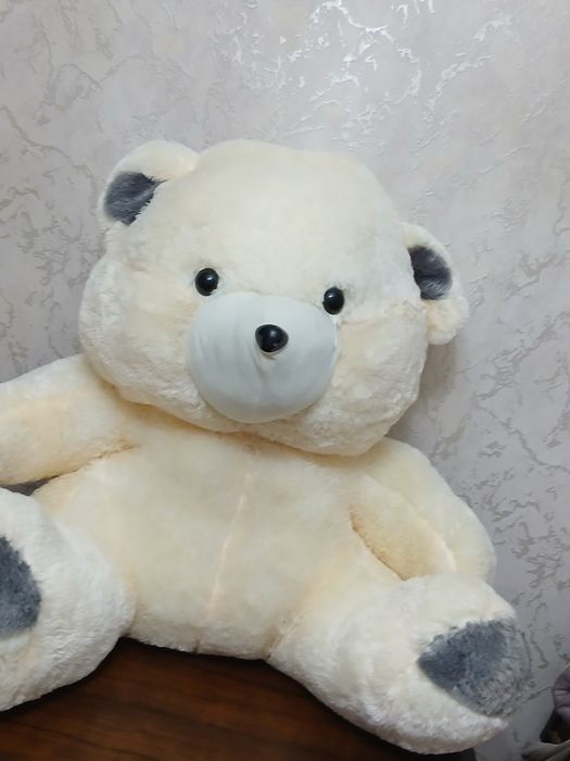 Teddy  Ayiqchasi