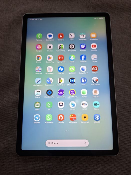 Galaxy Tab S10 FE 5G 12/256Gb