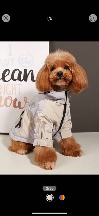 Яке за малко куче