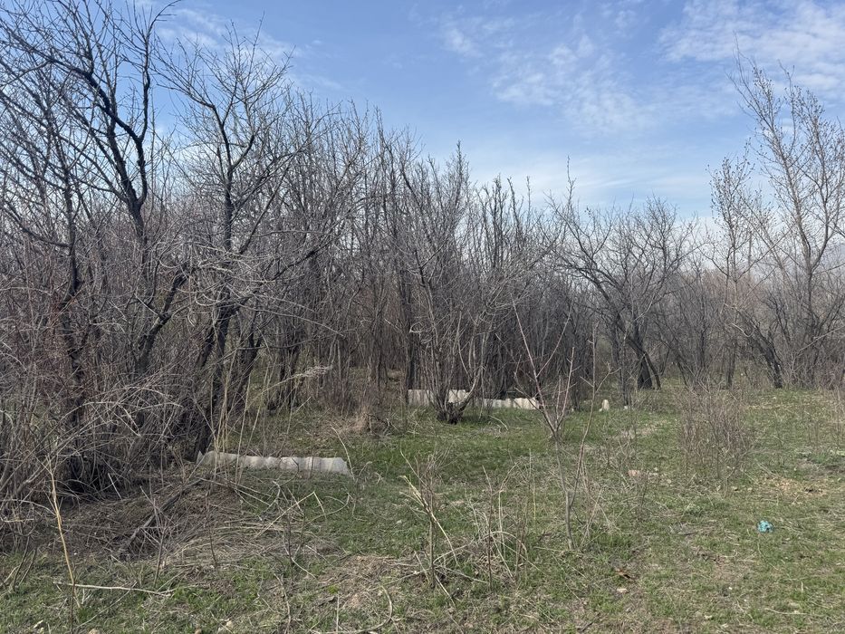 дрова самовывоз на участке