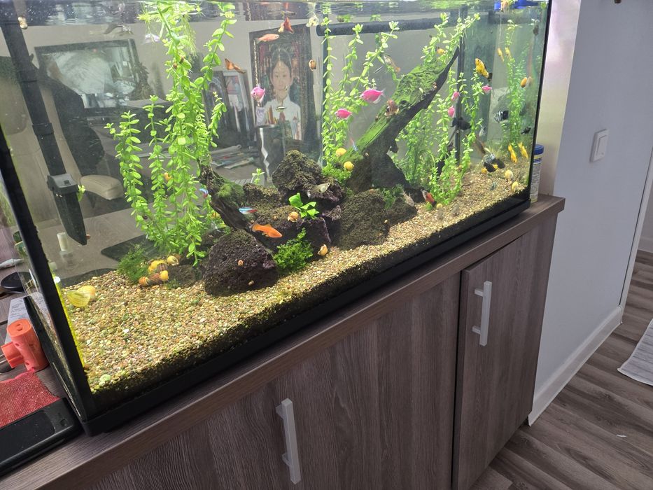 Продаётся аквариум