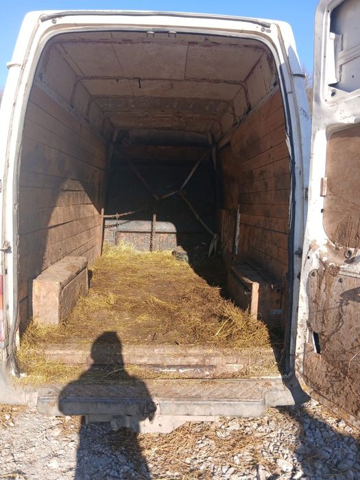 Vand sau schimb cu animale