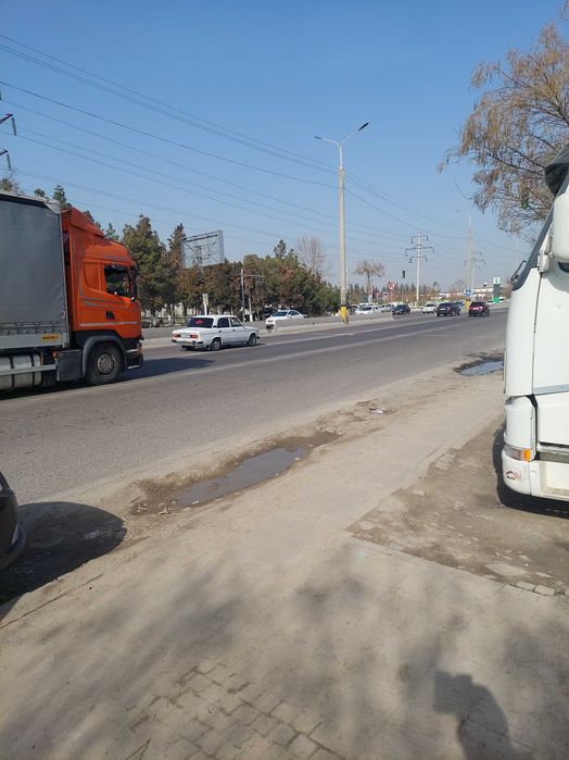 Можжевельниклар аксия нархларда