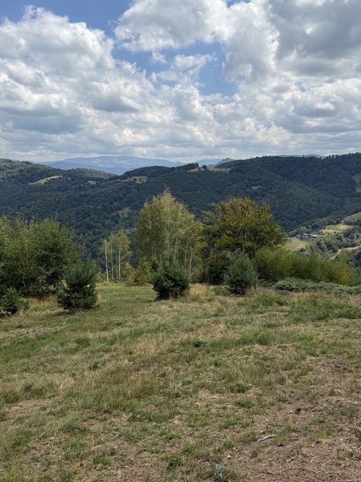 Teren în Damiș cu panoramă superbă spre Vlădeasa – altiudine 820 m, curent și apă la limită