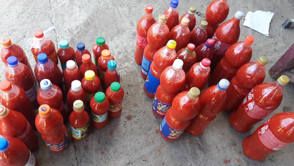 Продаю кобру (домашняя).