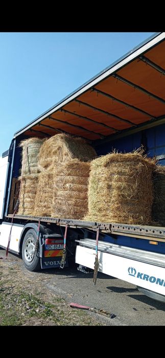 Baloti lucerna sau fan Livram la comanda doar la TIR min 40 rotunzi sau 500 dreptunghiulari Transport inclus >RO