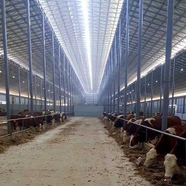 biz sizlar uchun xar xil turdagi tom naves issiq xona va sortaklar tay