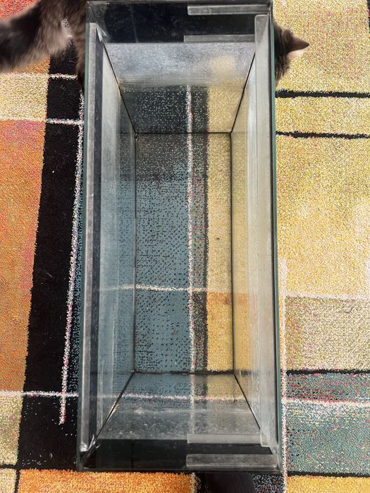 Acvariu pesti 60x25x45