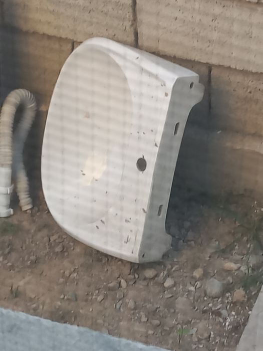 продам тюлпан раковина