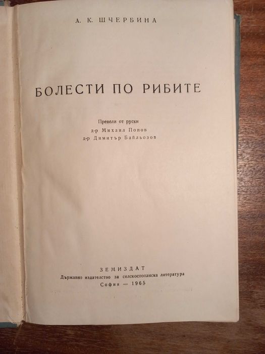 Болести по рибите