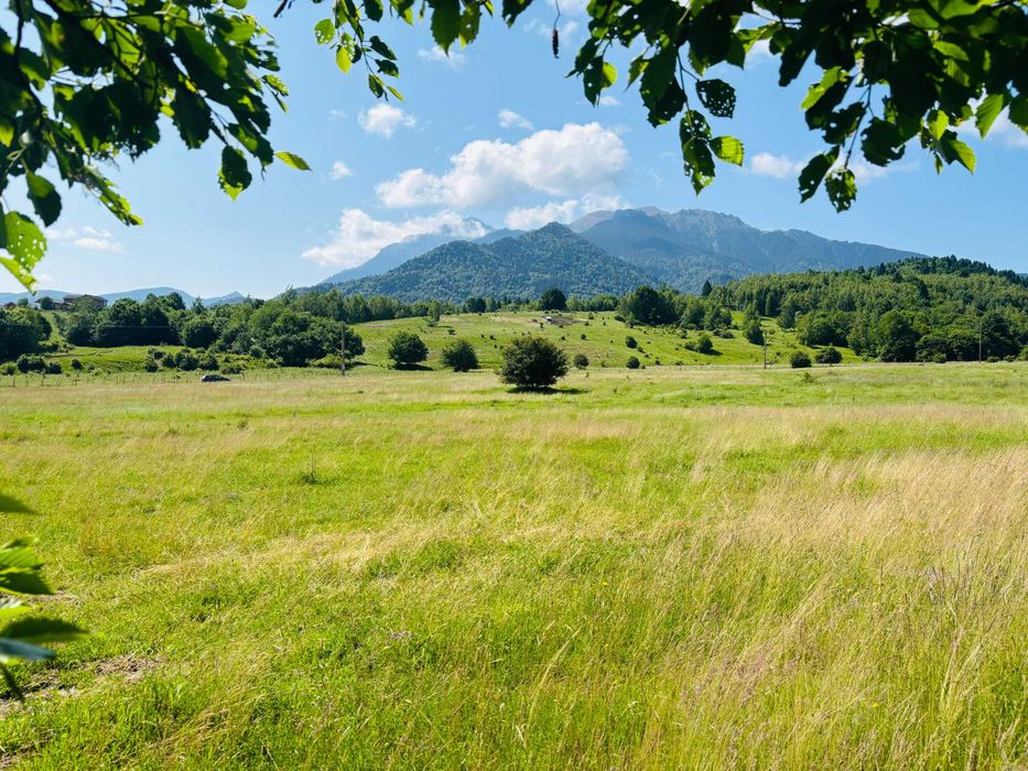 teren de vanzare Rasnov