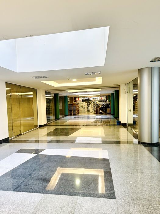 Химическо чистене под наем 1300