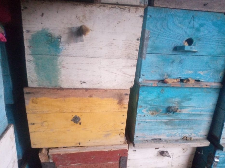 Пчелиный улей 10рамка и 13 рамка