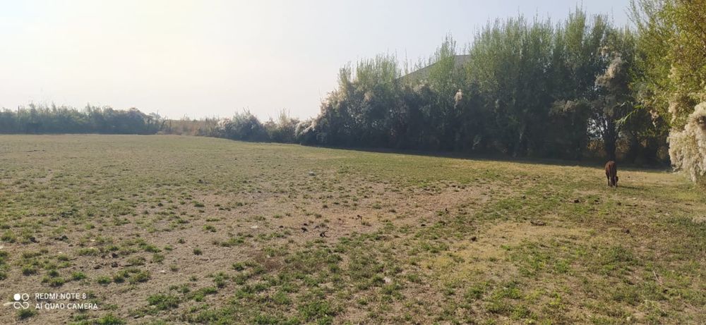 Участка сатылады 15соток