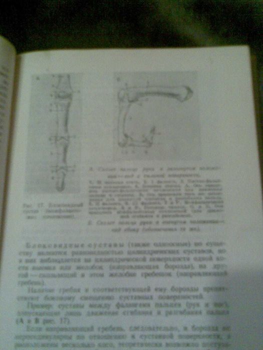 Анатомия человека для медиков и художников. 1940г. автор  М. Дюваль