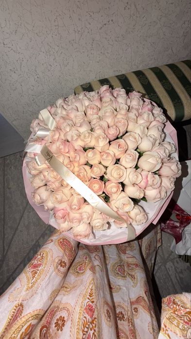 Свежие розы, цветы.