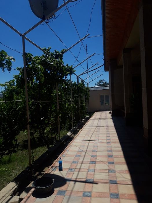 Ховли сотилади !!!