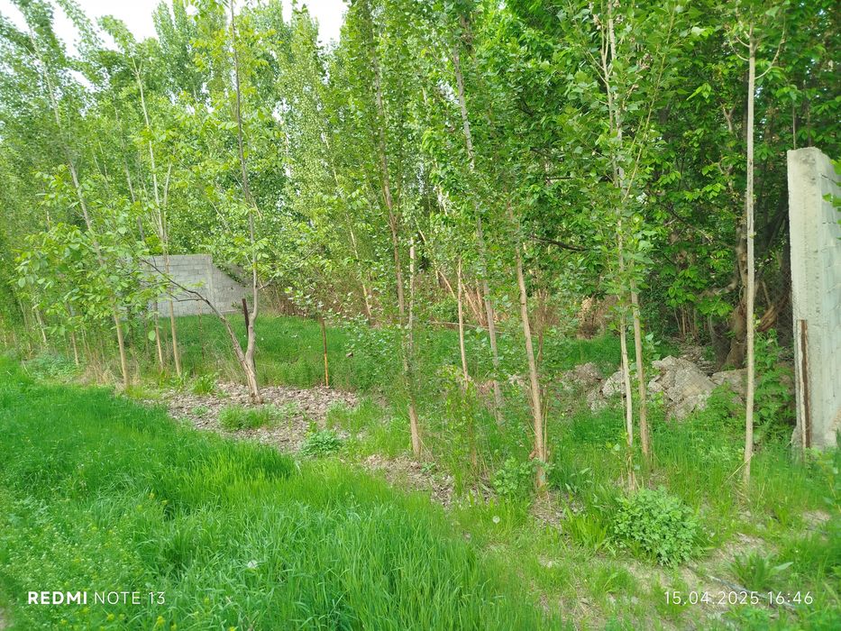 Ховли сотилади 12 сотих Мирпустин кучаси мулжал 9 дамас охирги бекати.