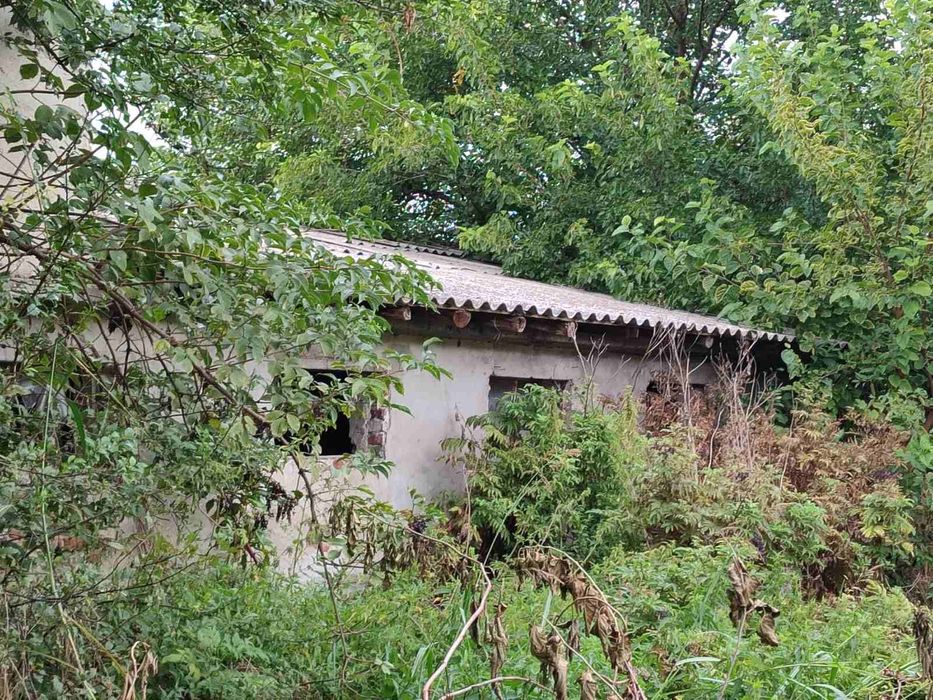 Продава се Земеделски имот в с. Боянци, Област Пловдив -  кв.м за 25500 €/дка - Снимка #1