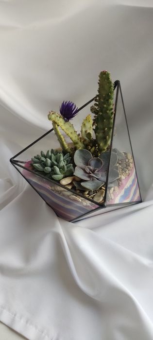 Флорариумы 'вечнозелёные сады'